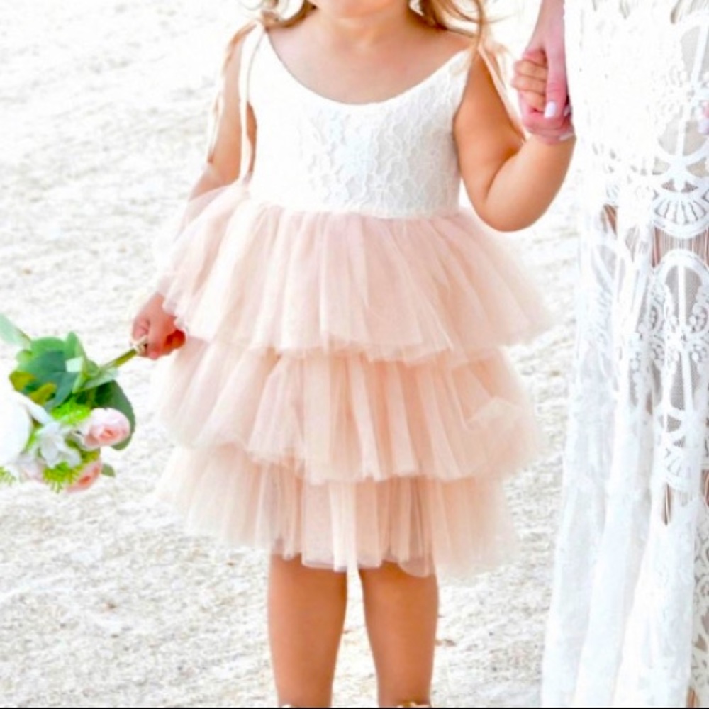 Toddler Flower Girl / Birthday tulle Tutu lace dress/ Champaign